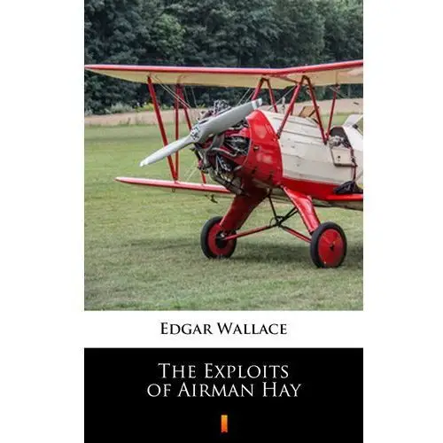 Edgar wallace The exploits of airman hay