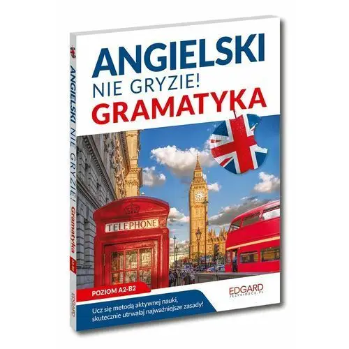 Angielski. Nie gryzie! Gramatyka