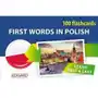 Edgard Polski 100 fiszek pierwsze słowa dla obcokrajowców - praca zbiorowa Sklep on-line