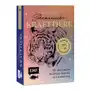 Edition michael fischer Kartenset: schamanische krafttiere - entdecke deine seelenbegleiter Sklep on-line
