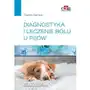 Diagnostyka i leczenie bólu u psów Sklep on-line