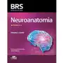 Neuroanatomia brs Sklep on-line
