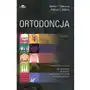 Ortodoncja Edra urban & partner Sklep on-line