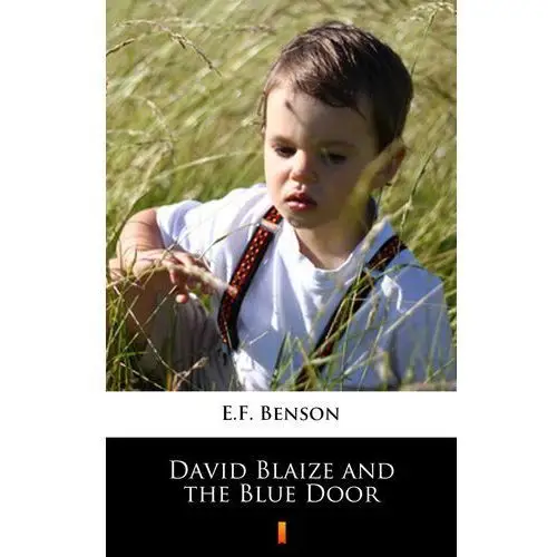 David blaize and the blue door