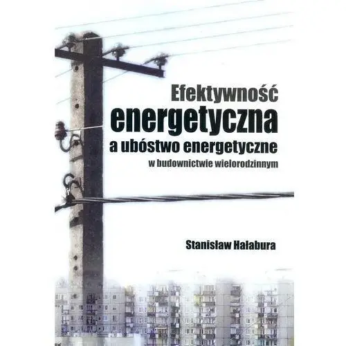 Efektywność energetyczna a ubóstwo energetyczne w budownictwie wielorodzinnym - Stanisław Hałabura