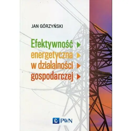 Efektywność energetyczna w działalności gospodarczej