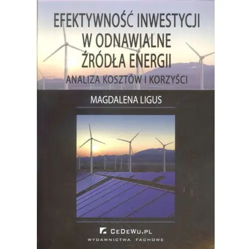 Efektywność inwestycji w odnawialne źródła energii - analiza kosztów i korzyści