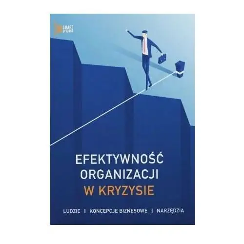 Efektywność organizacji w kryzysie