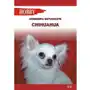 Chihuahua Sklep on-line