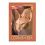 Egros Cornish rex Sklep on-line