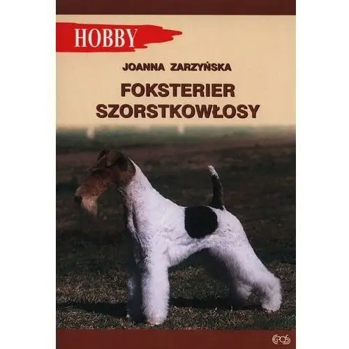 Egros Foksterier szorstkowłosy. hobby