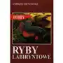 Ryby labiryntowe - Andrzej Sieniawski, 83-8818581-0 Sklep on-line