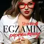 Egzamin poprawkowy – opowiadanie erotyczne Sklep on-line