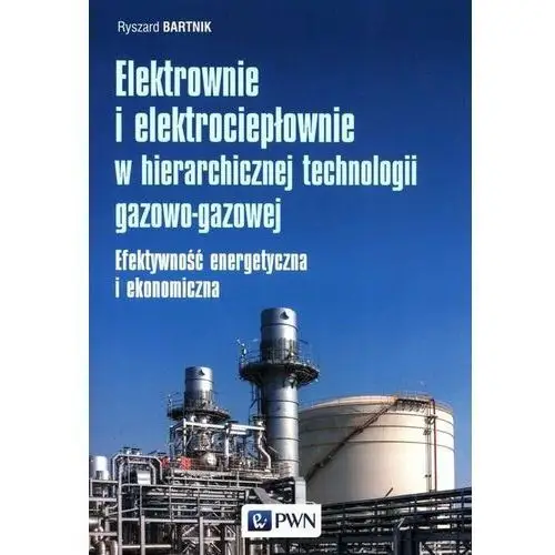 Elektrownie i elektrociepłownie w hierarchicznej technologii gazowo-gazowej