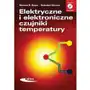 Elektryczne i elektroniczne czujniki temperatury Sklep on-line