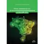 Polityka innowacyjna Brazylii i jej wpływ na... - Joanna Gocłowska-Bolek - książka Sklep on-line