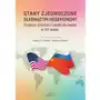 Stany zjednoczone słabnącym hegemonem? przejawy, przyczyny i skutki dla świata w xxi wieku Sklep on-line