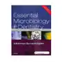 Essential microbiology for dentistry Elsevier health sciences Sklep on-line