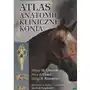 Atlas anatomii klinicznej konia Sklep on-line