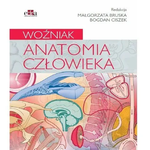 Elsevier wydawnictwo Anatomia człowieka. woźniak