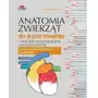 Elsevier wydawnictwo Anatomia zwierząt do kolorowania. narządy wewnętrzne i gruczoły dokrewne Sklep on-line