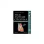 Elsevier wydawnictwo Atlas anatomii człowieka Sklep on-line