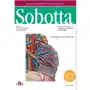 Atlas anatomii człowieka sobotta łacińskie mianownictwo. tom 2 Elsevier wydawnictwo Sklep on-line