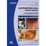 Elsevier wydawnictwo Gastroenterologia psów i kotów bsava Sklep on-line