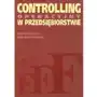 Controlling operacyjny w przedsiębiorstwie. centra odpowiedzialności w teorii i praktyce,100KS (462897) Sklep on-line