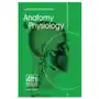 Introductory Guide to Anatomy & Physiology Sklep on-line