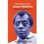 Encounters with James Baldwin - ebook EPUB Sklep on-line