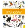 Encyklopedia ptaków Sklep on-line