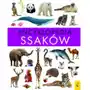 Encyklopedia ssaków Sklep on-line