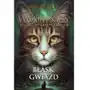 Blask gwiazd. wojownicy. nowa przepowiednia. tom 4 Erin hunter Sklep on-line