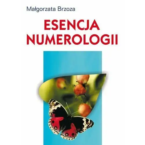 Esencja numerologii