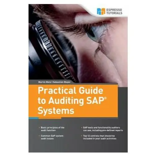 Practical Guide to Auditing SAP Systems