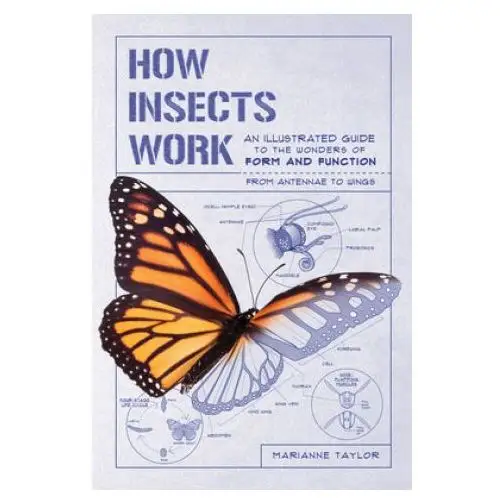 Experiment How insects work: an illustrated guide to the wonders of form and function-from antennae to wings