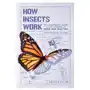 Experiment How insects work: an illustrated guide to the wonders of form and function-from antennae to wings Sklep on-line