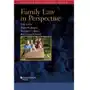 Family Law in Perspective Wadlington, Walter; O'Brien, Raymond; Wilson, Robin Sklep on-line
