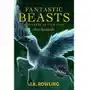 Fantastic Beasts and Where to Find Them Sklep on-line