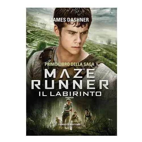 Labirinto. maze runner Fanucci