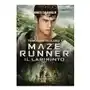 Labirinto. maze runner Fanucci Sklep on-line