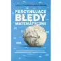 Fascynujące błędy matematyczne Sklep on-line