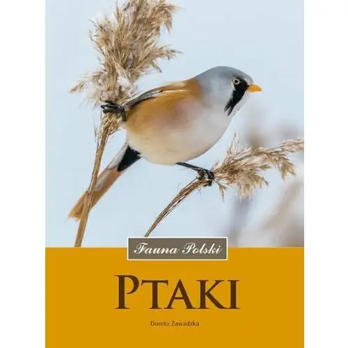 Fauna Polski. Ptaki