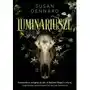 Luminariusze Feeria young Sklep on-line