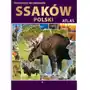 Atlas. ilustrowana encyklopedia ssaków polski Fenix Sklep on-line