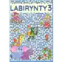 Fenix Labirynty 3 Sklep on-line