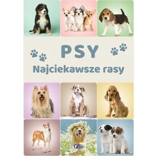 Psy. najciekawsze rasy