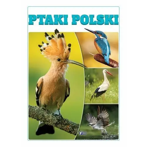 Ptaki Polski. Wydawnictwo Fenix