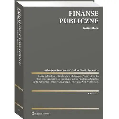 Finanse publiczne. Komentarz (E-book)